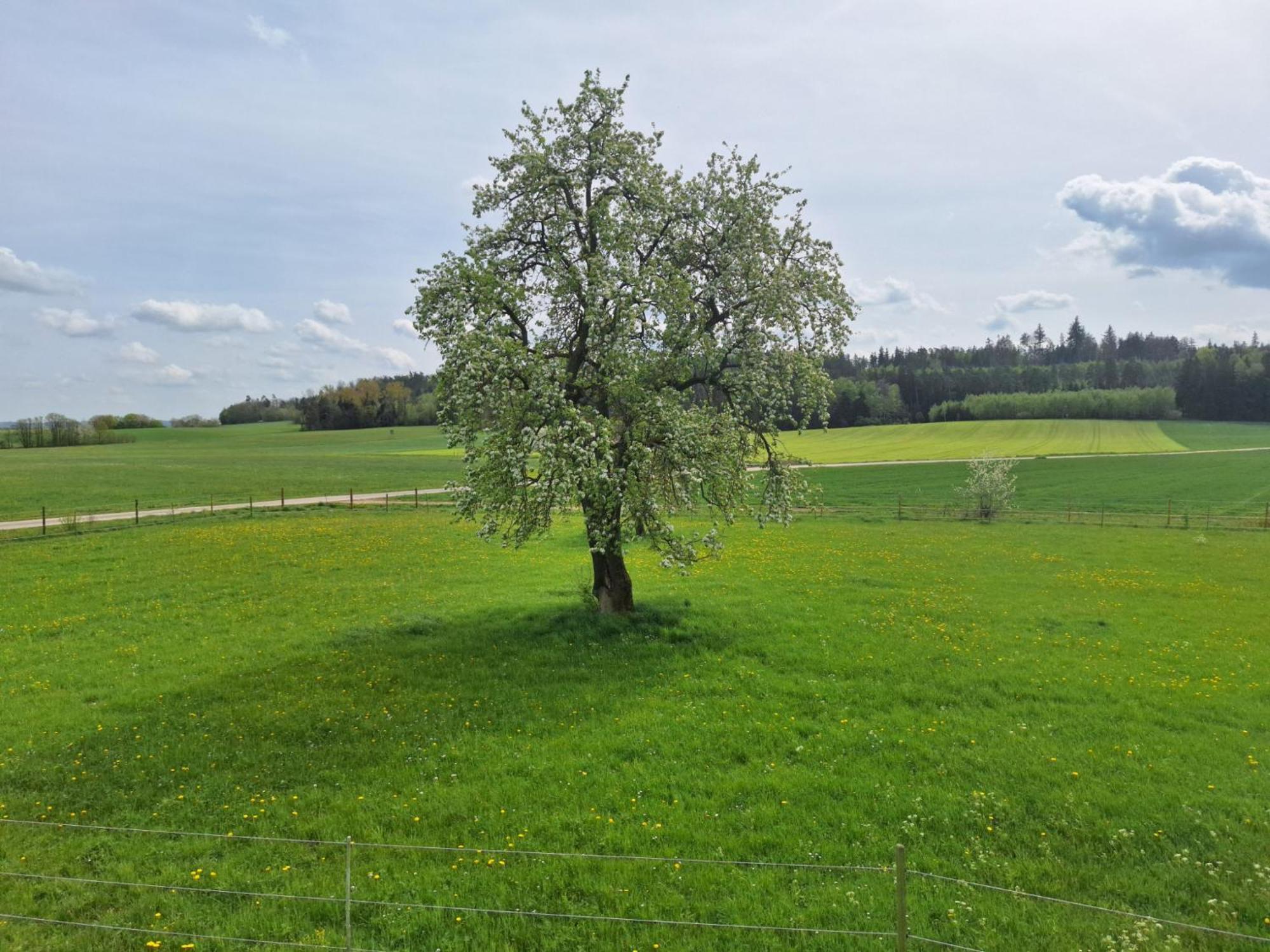 Gaestehaus Plath Wettringen  Kültér fotó